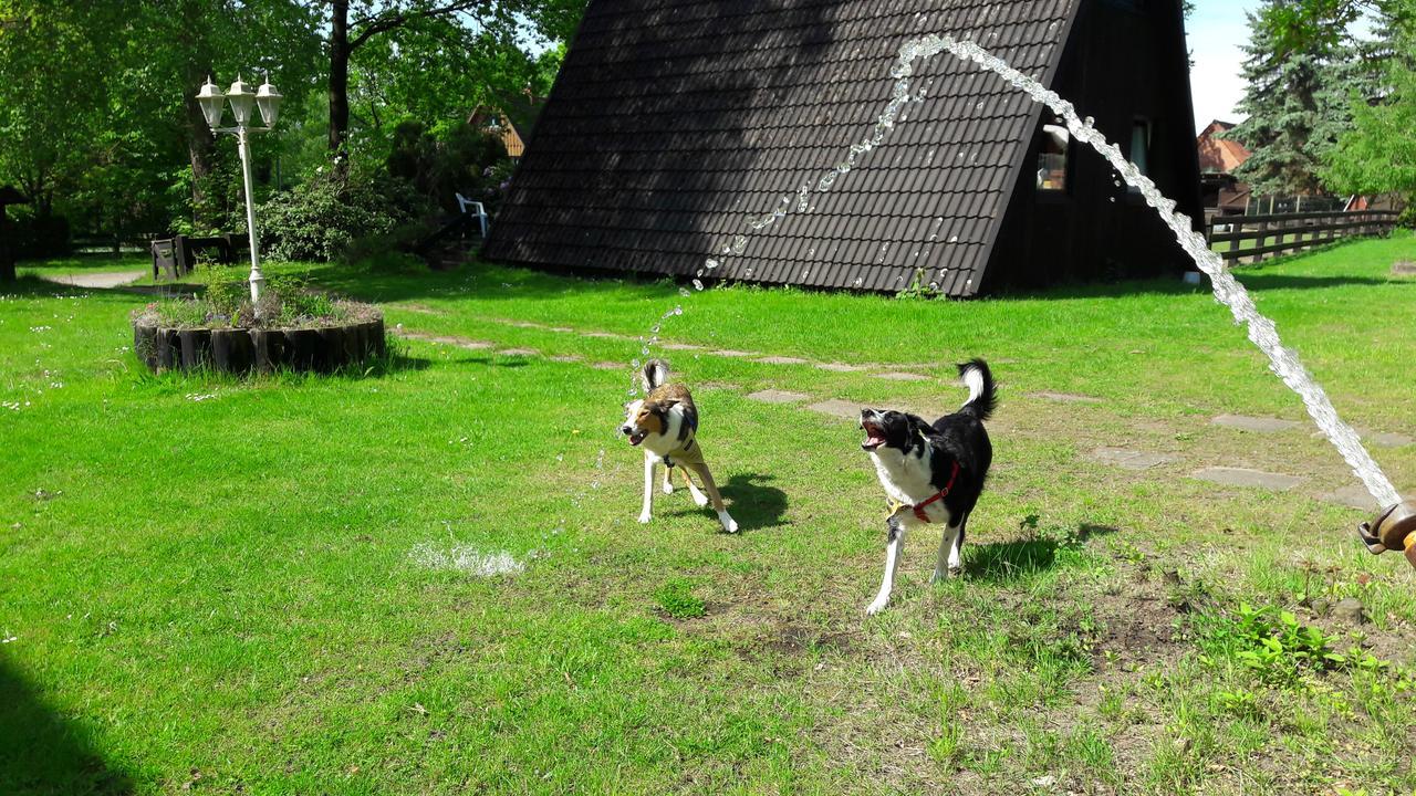 Eitzmanns Ferienhauser Dushorn Kültér fotó